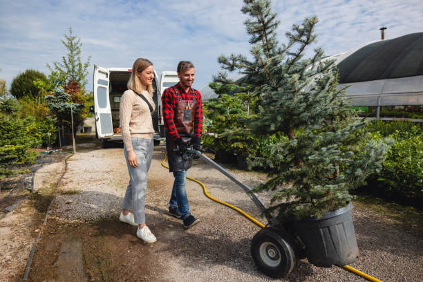 Best Tree Mulching  in Merritt Island, FL